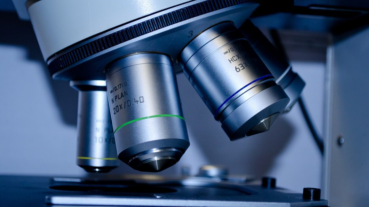 Ensuring quality and accuracy in AI-generated content